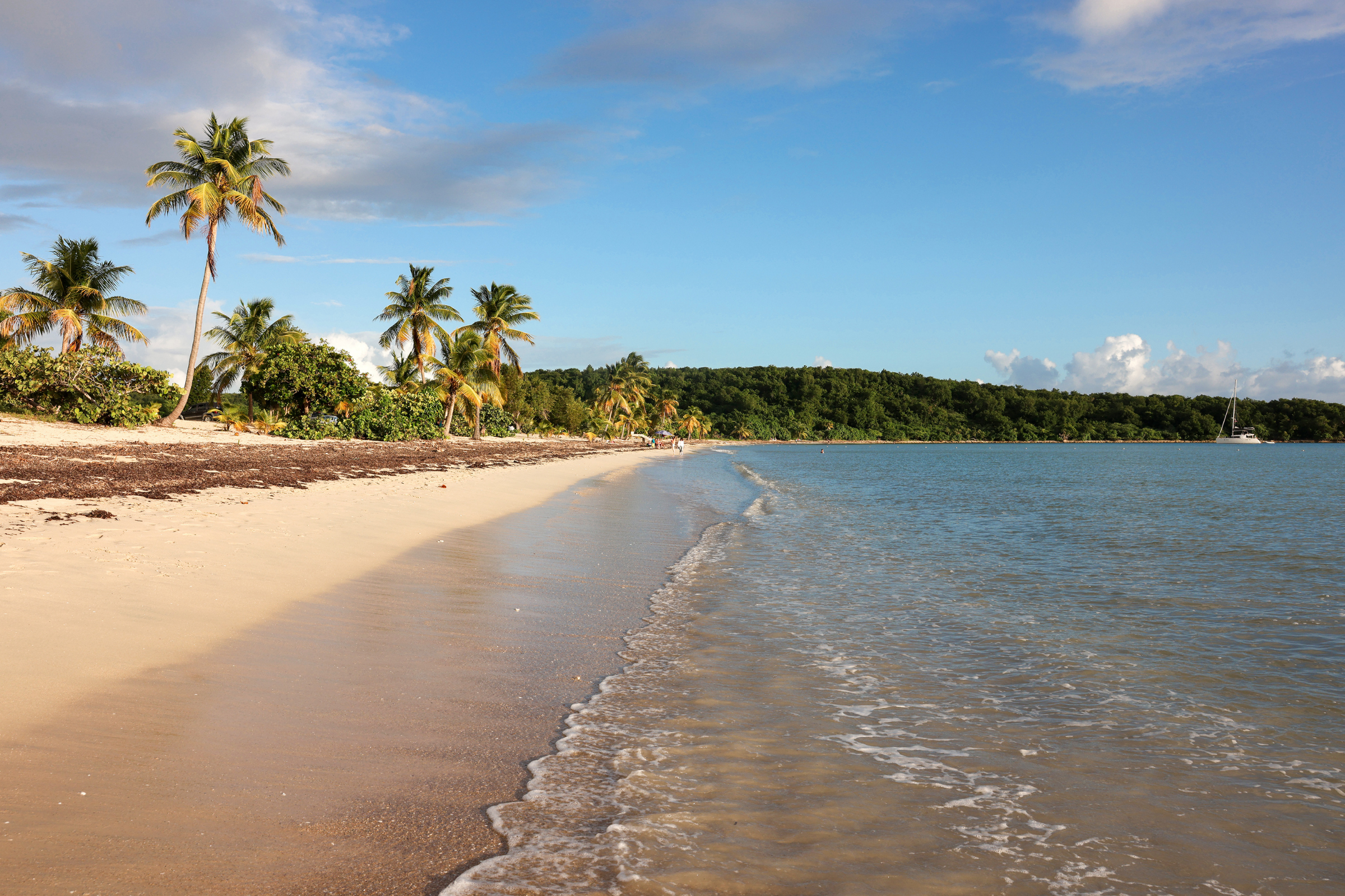 esperanza, vieques island (4).webp